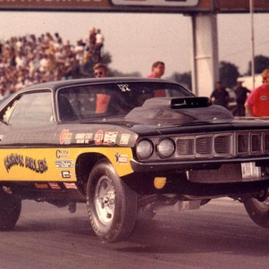 Arlen's Cuda