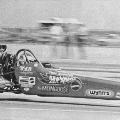 MONGOOSE-72