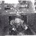Harvey Tollison
