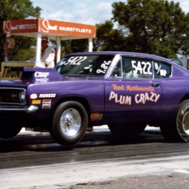 Plum Crazy