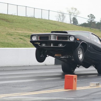 Bourguignon Wheelie
