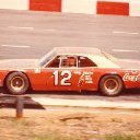 Bobby Allison Fans