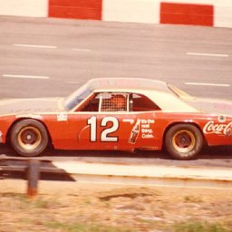 Bobby Allison Fans