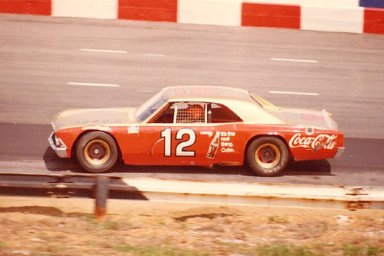 Bobby Allison Fans