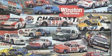 NASCARAHOLIC