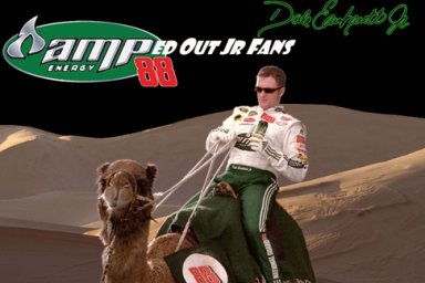 Dale Earnhardt Junior ~ AMPed Out Jr Fans