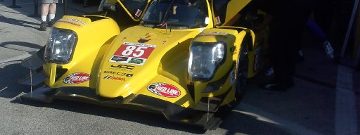 Alex FL Racing Fan