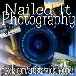 @vicki-hopper
