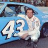 greg minter