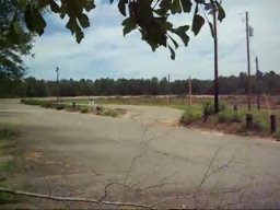 Columbia Speedway Tree Removal