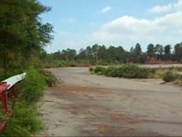 Columbia Speedway Tree Removal Part 3