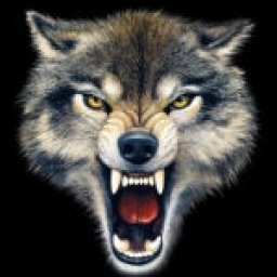 @Paul Raymond Weagley Jr.